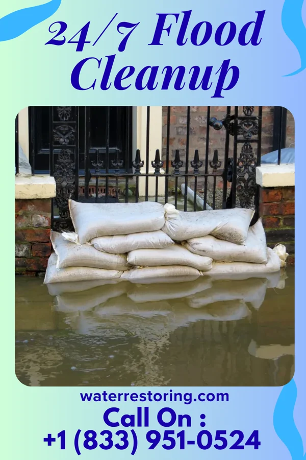 24/7 Flood Cleanup in Woodland, IL