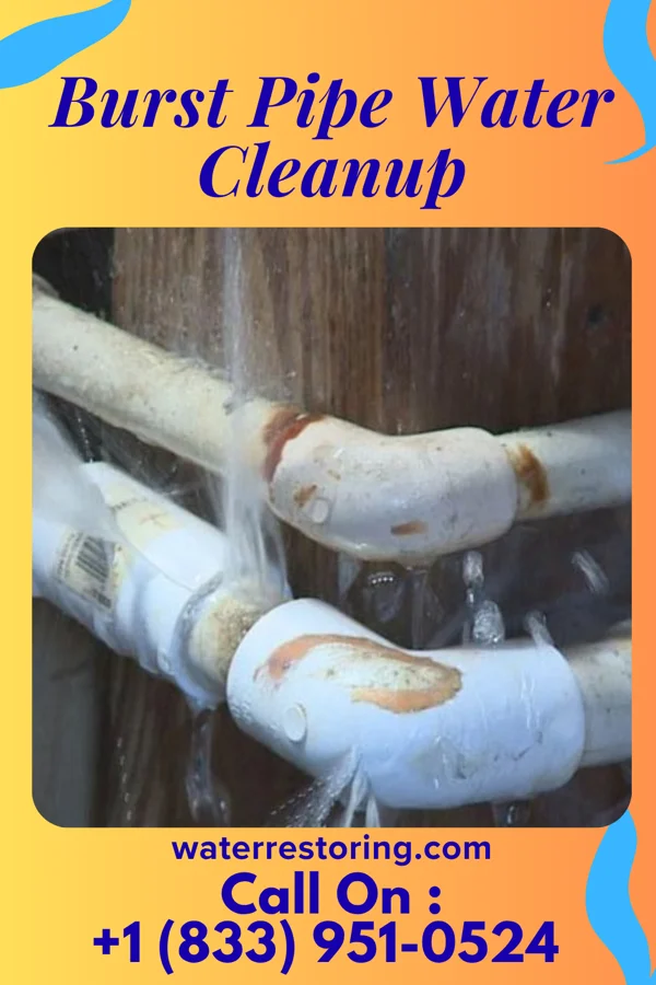 Burst Pipe Water Cleanup in Woodland, IL