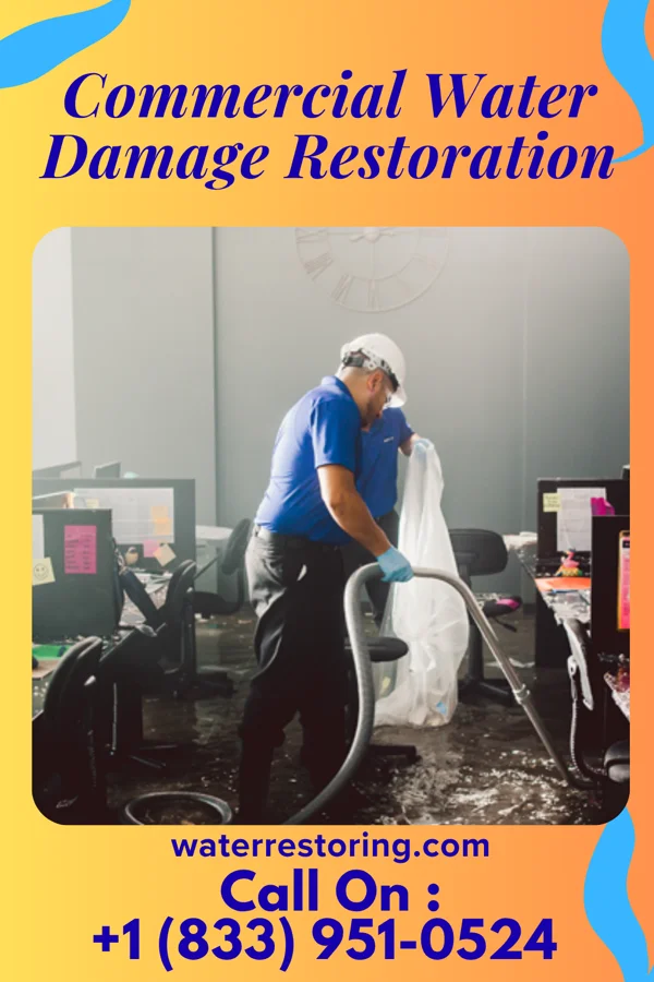 Commercial Water Damage Restoration in Woodland, IL
