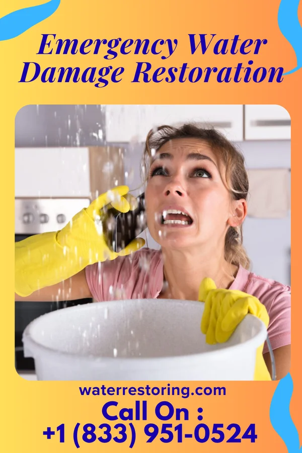Emergency Water Damage Restoration in Woodland, IL