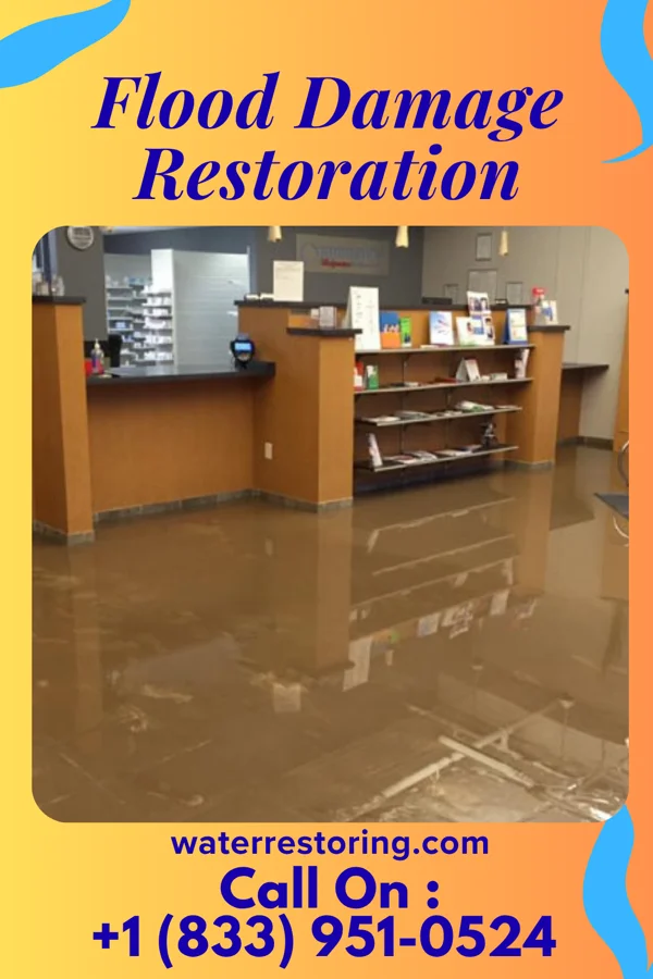 Flood Damage Restoration in Woodland, IL