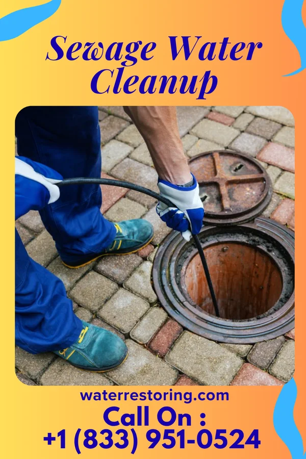 Sewage Water Cleanup in Woodland, IL